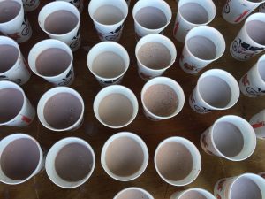 journée lait à la pause